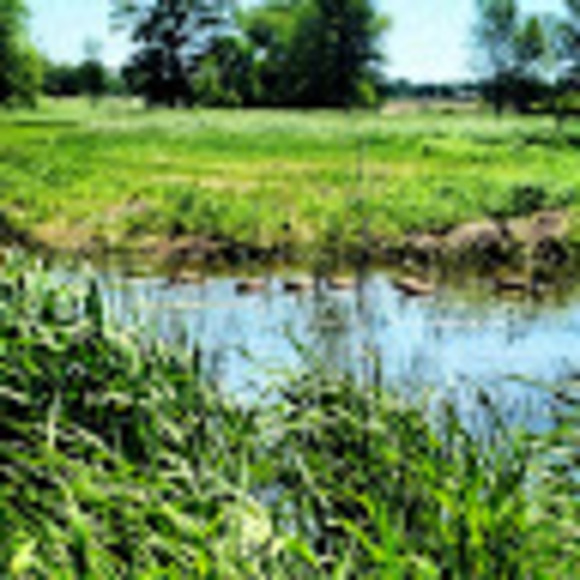 Meet your Posher, Sally - Picture 1 of 1